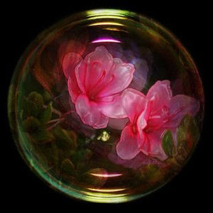 Meet your Posher, Nyaira